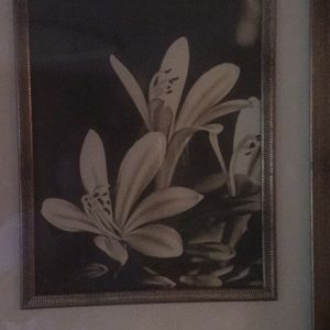 Meet your Posher, Terri